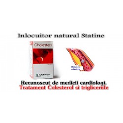 Cholesteril-Drojdie orez rosu (90 capsule)